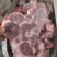 满肉母猪猪颈骨