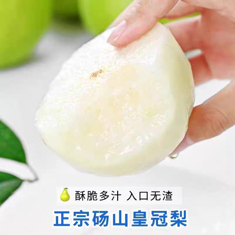 皇冠梨