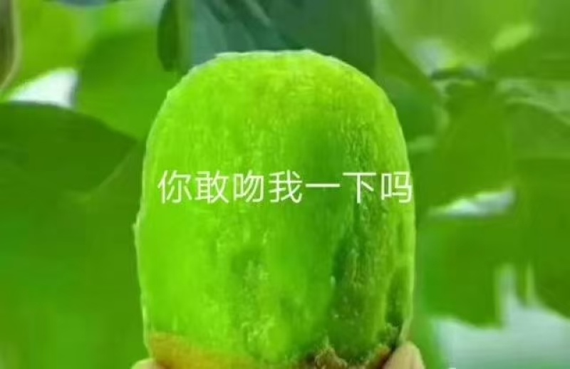 绿心猕猴桃，产地直供，质量上乘，欢迎看货