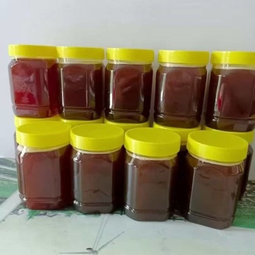 土蜂蜜自家养殖