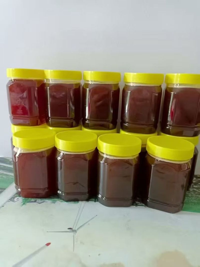 土蜂蜜自家养殖