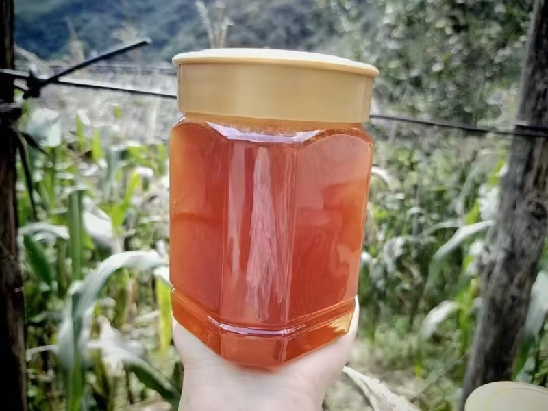 土蜂蜜自家养殖