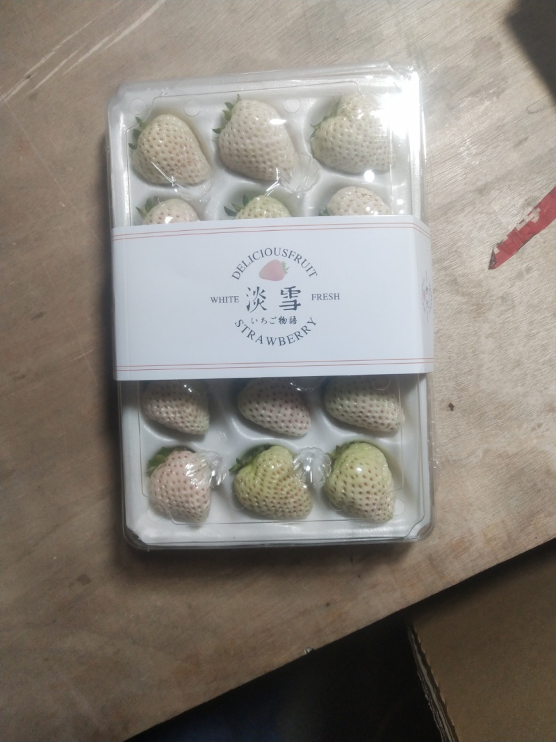 天使8号草莓苗，基地直供，成活率高，无病害，