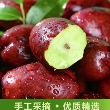 欢迎电商批发商和营销商前来联系，