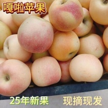 嘎啦苹果口感脆甜汁水多价格实惠产地直发保质保量欢迎电联