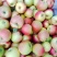 嘎啦苹果口感脆甜汁水多价格实惠产地直发保质保量欢迎电联