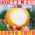 《畅销推荐》山东正宗秋月梨基地直发保质保量对接全国一条龙