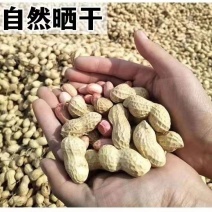 《畅销推荐》许昌带壳花生基地直发保质保量一条龙服务