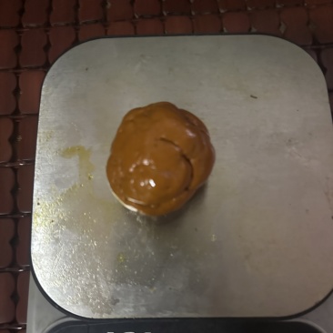牛黄