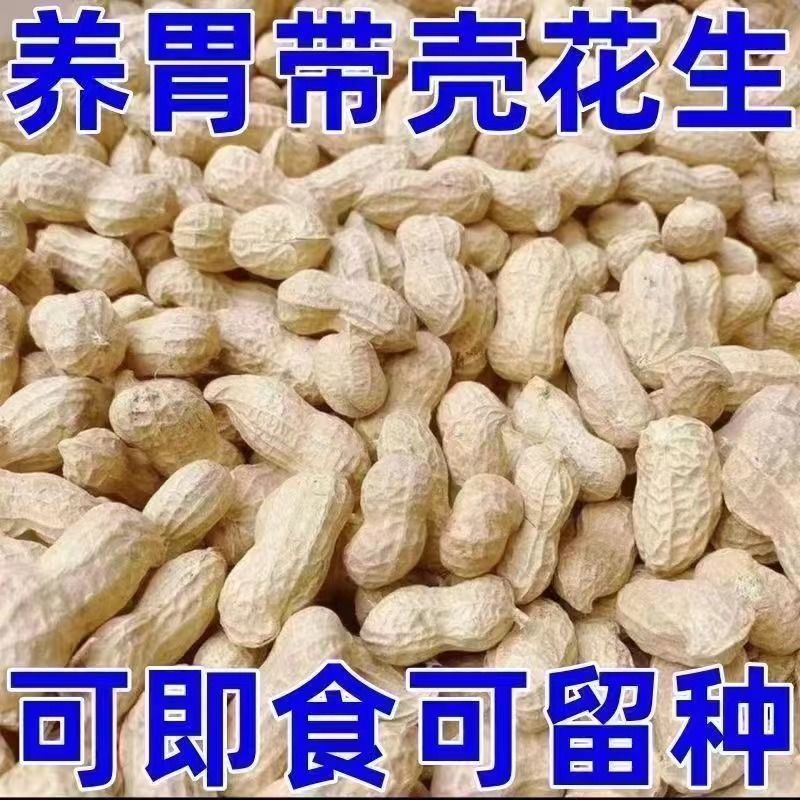 《畅销推荐》许昌带壳花生基地直发保质保量一条龙服务