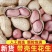 《畅销推荐》许昌带壳花生基地直发保质保量一条龙服务