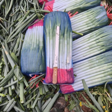 精品高原大葱，基地直发，量大优惠可以视频看货欢迎合作