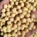东北高蛋白特大粒大豆，黄豆，豆腐坊专用豆精品。