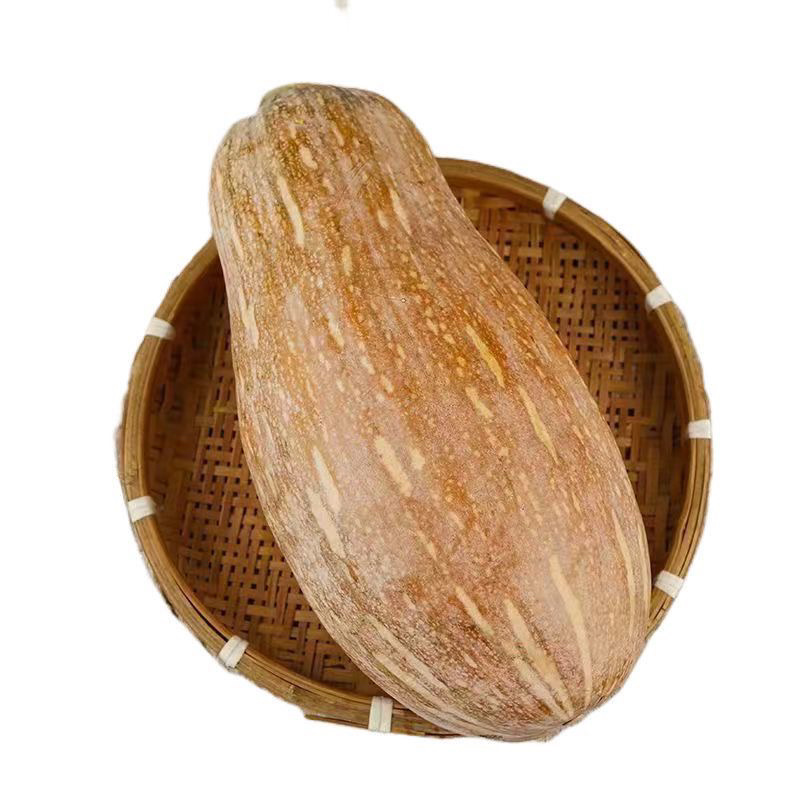 蜜本南瓜/湖南南瓜/老南瓜/老品种南瓜