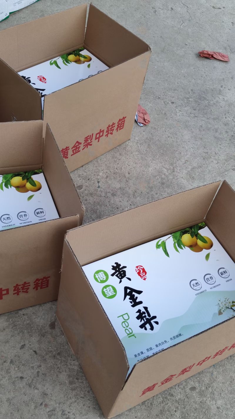 博望黄金梨