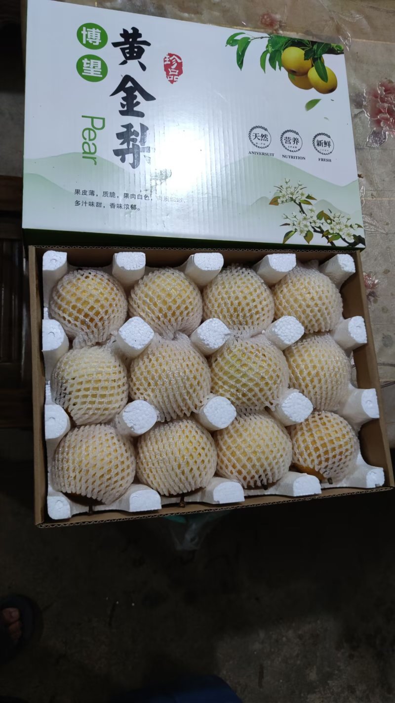 博望黄金梨