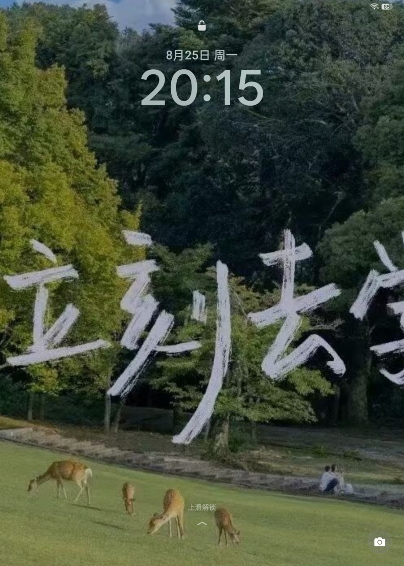 云南特产蜜桔场地直供电商社团各大平台，市场货电商货大量供