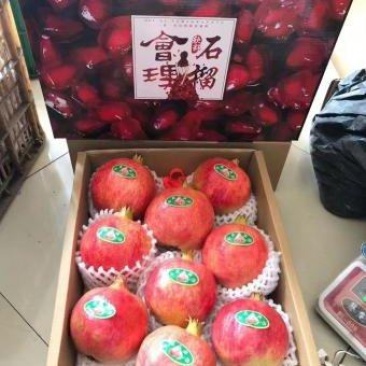 老板你好，今天（8月25日），石榴价格很不错，如果需要，