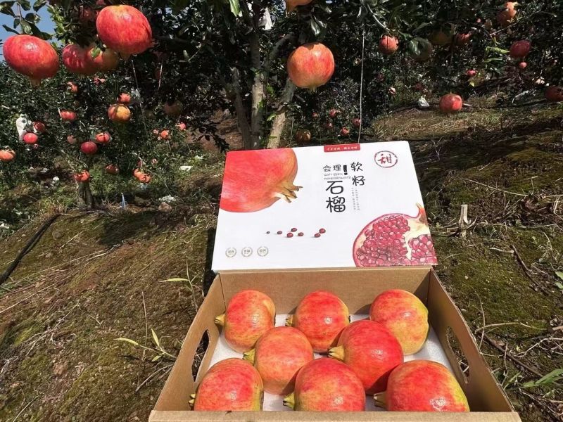 老板你好，今天（8月25日），石榴价格很不错，如果需要，