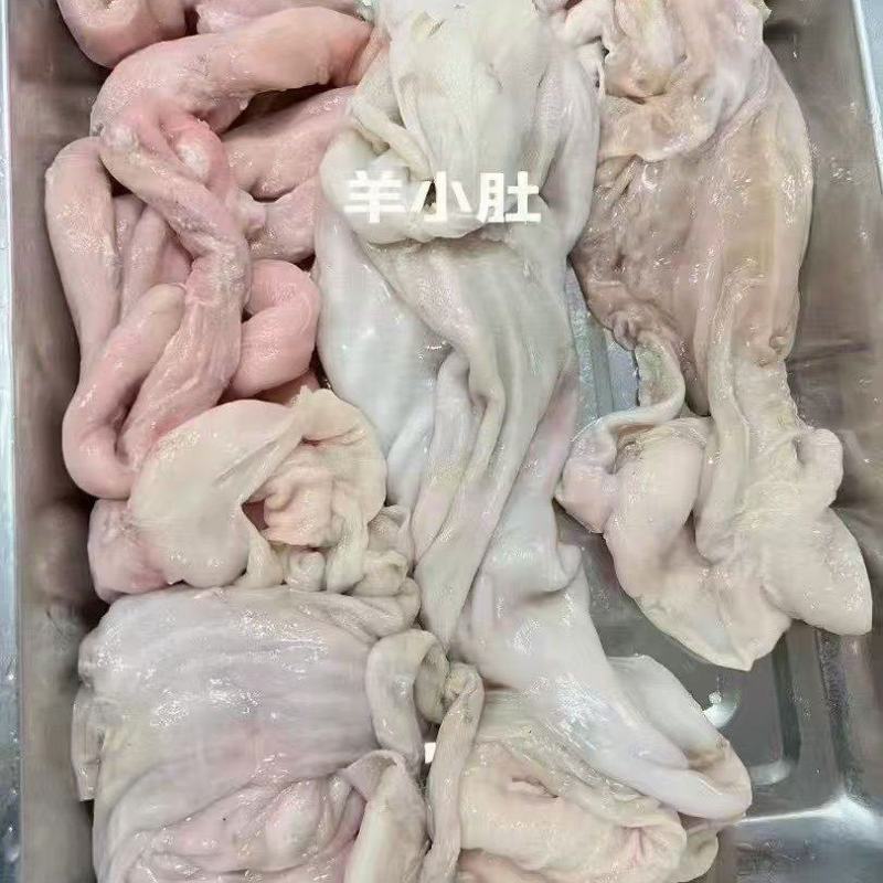 羊小肚