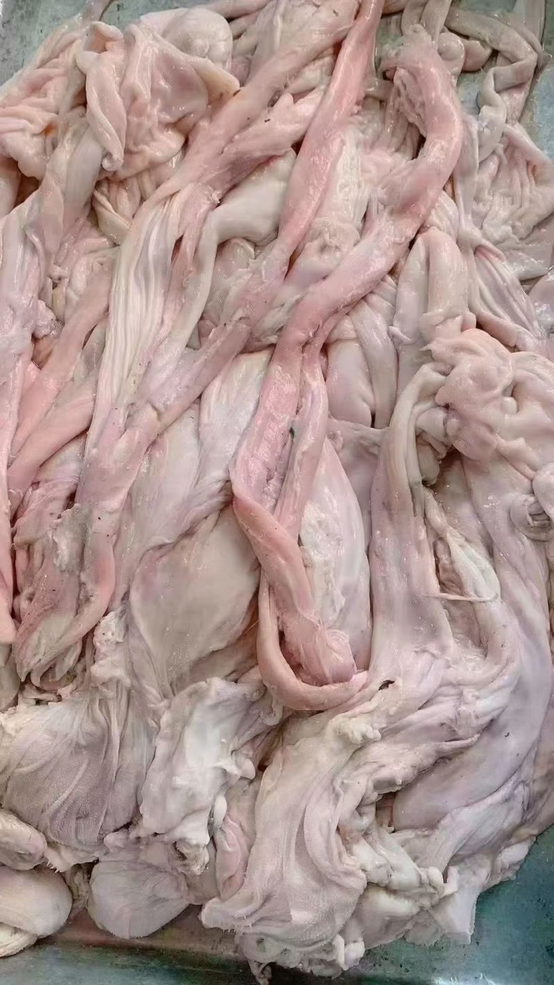 羊小肚
