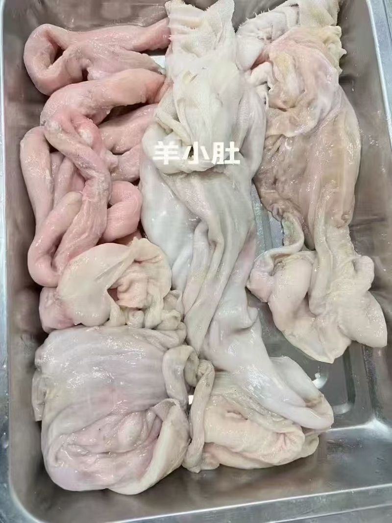 羊小肚
