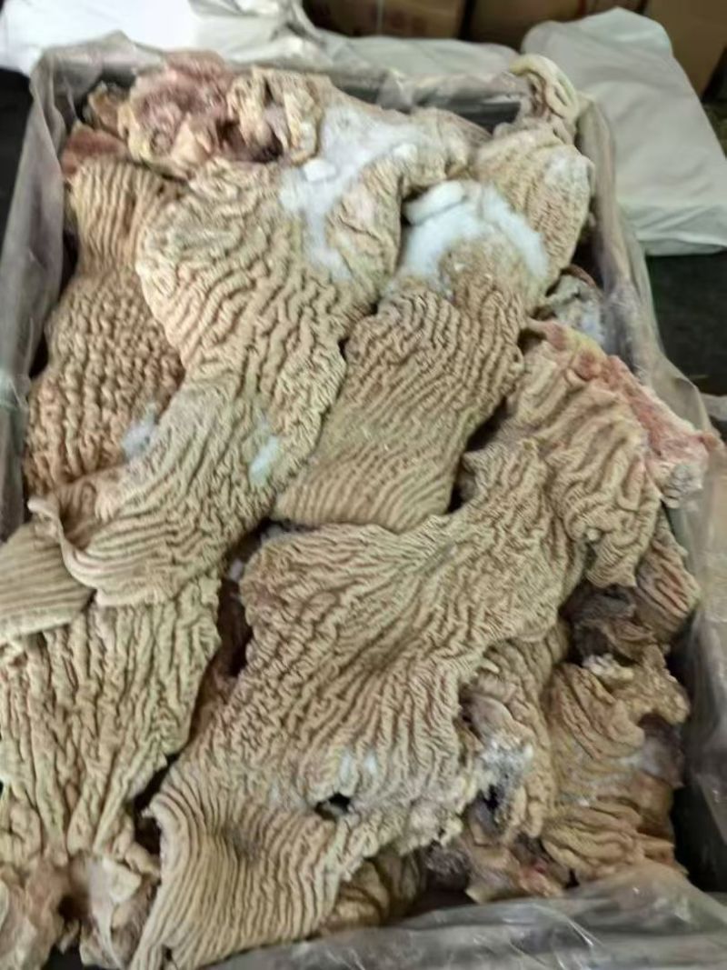 牛大肠