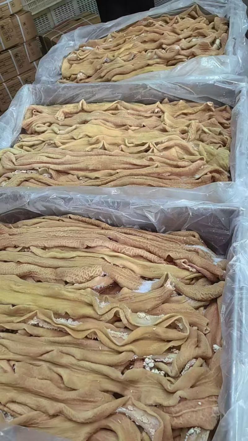 牛大肠