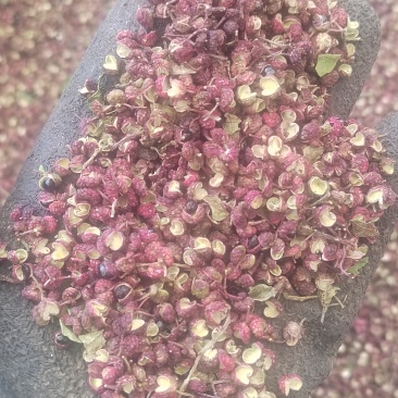 花椒