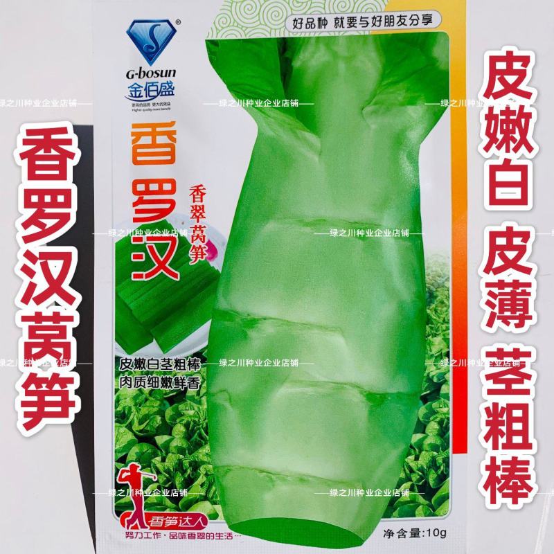 金佰盛香罗汉莴笋种子春秋越冬蔬菜香翠莴苣种子白皮耐寒种籽