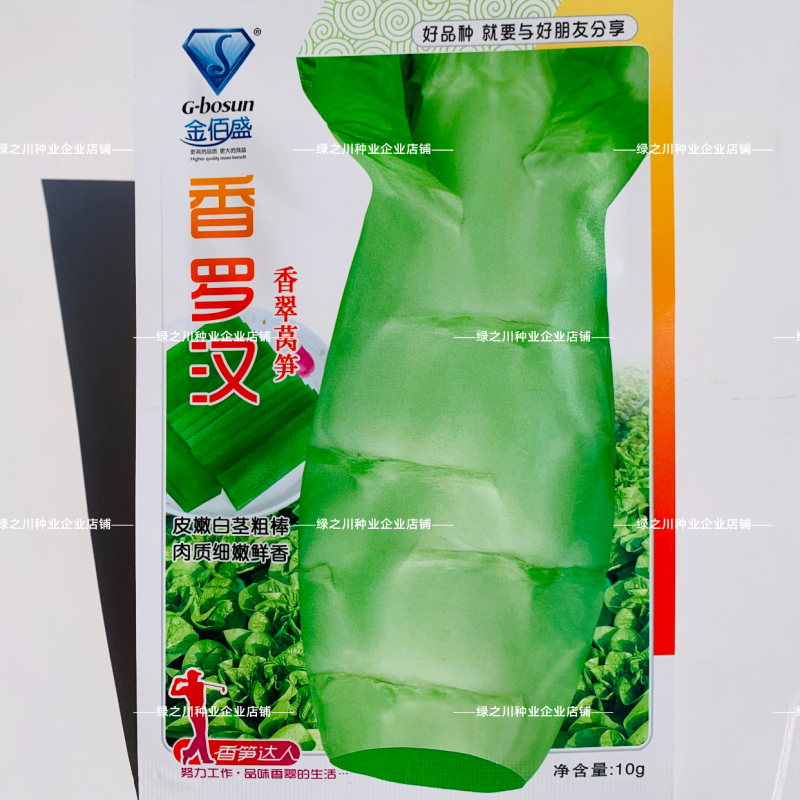 金佰盛香罗汉莴笋种子春秋越冬蔬菜香翠莴苣种子白皮耐寒种籽