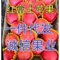 25年鲜果/红富士苹果/电商一件代发/市场/商超供应