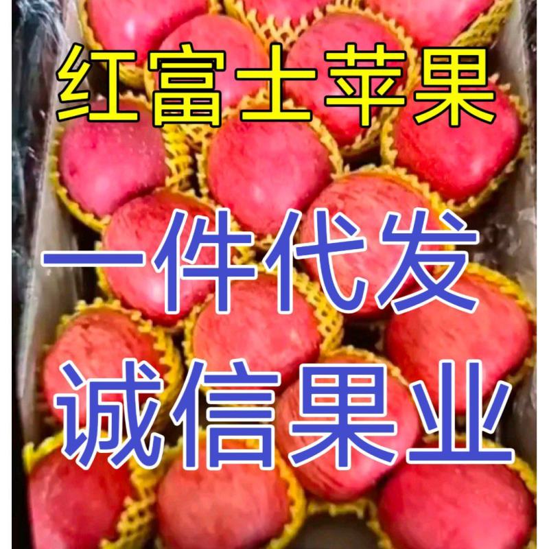 25年鲜果/红富士苹果/电商一件代发/市场/商超供应