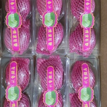 福建漳州云霄草莓芭乐