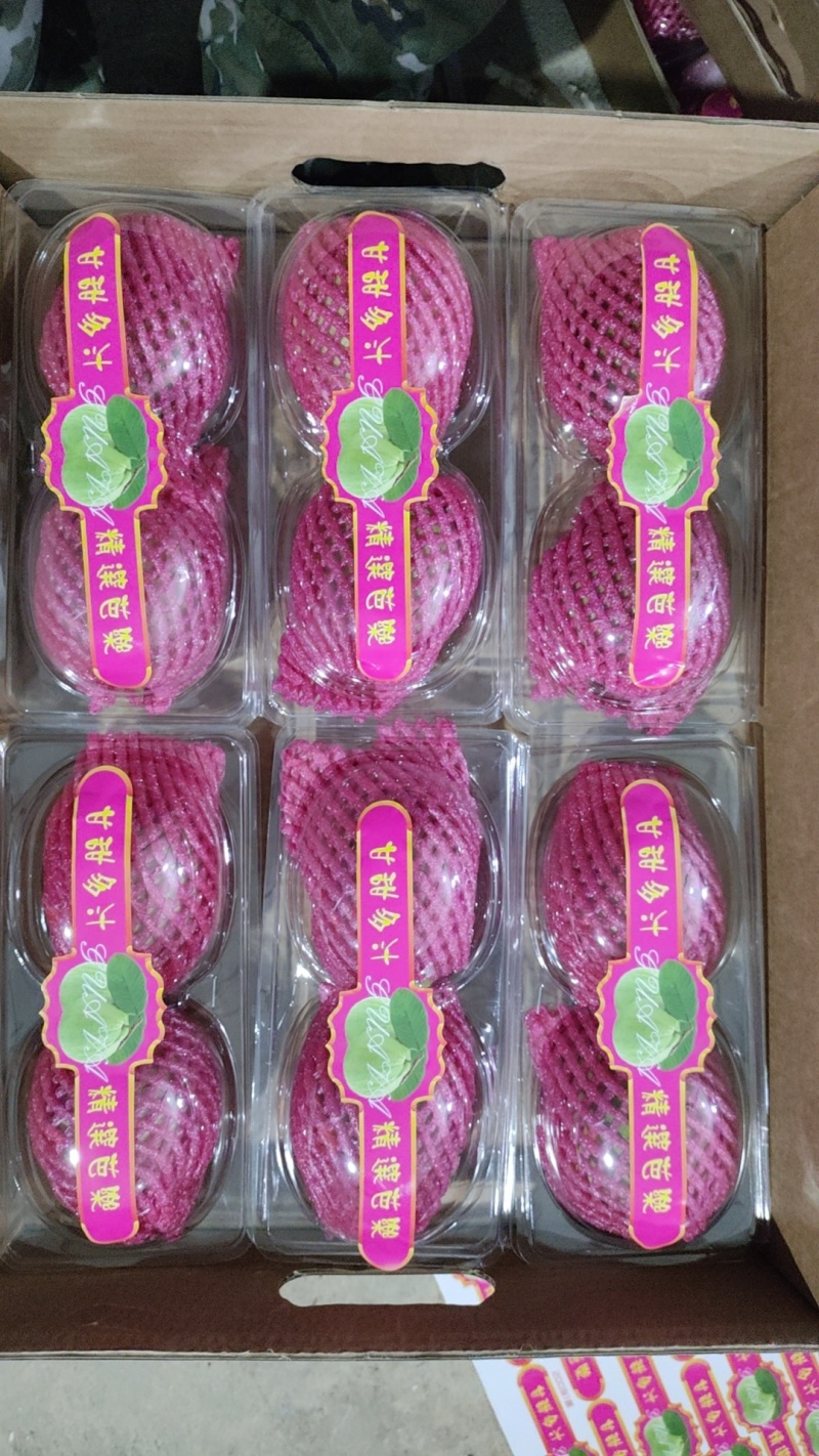 福建漳州云霄草莓芭乐