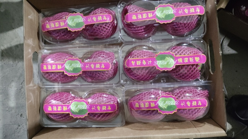 福建漳州云霄草莓芭乐