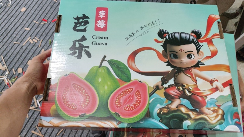 福建漳州云霄草莓芭乐