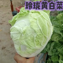 玲珑黄白菜，当地种植，量多着呢，需要的路过的，都可以联系