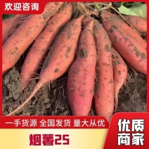 内蒙烟薯25沙地蜜薯软糯香甜产地直发全国发货