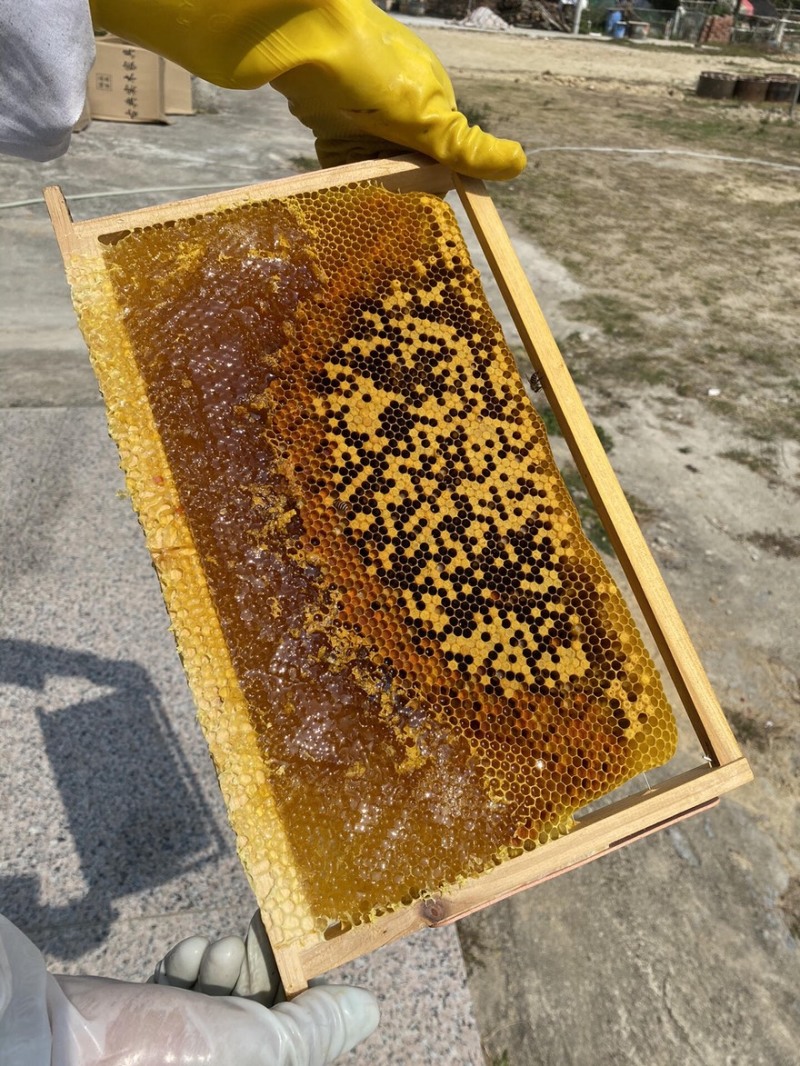 贵州蜂蜜野蜂蜜深山百花蜜欢迎选购