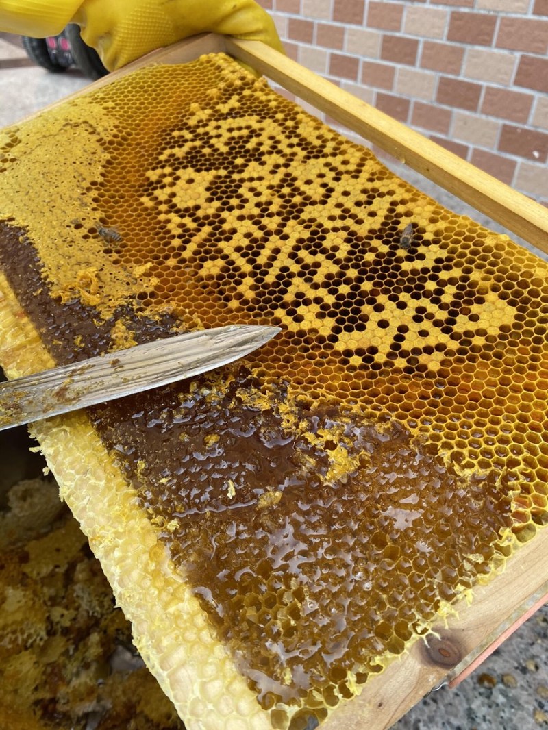 贵州蜂蜜野蜂蜜深山百花蜜欢迎选购