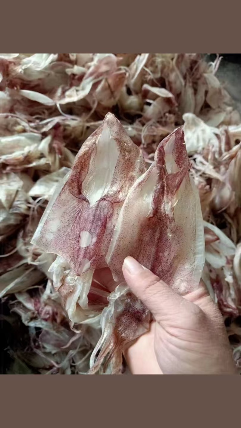金本港干鱿货紫菜