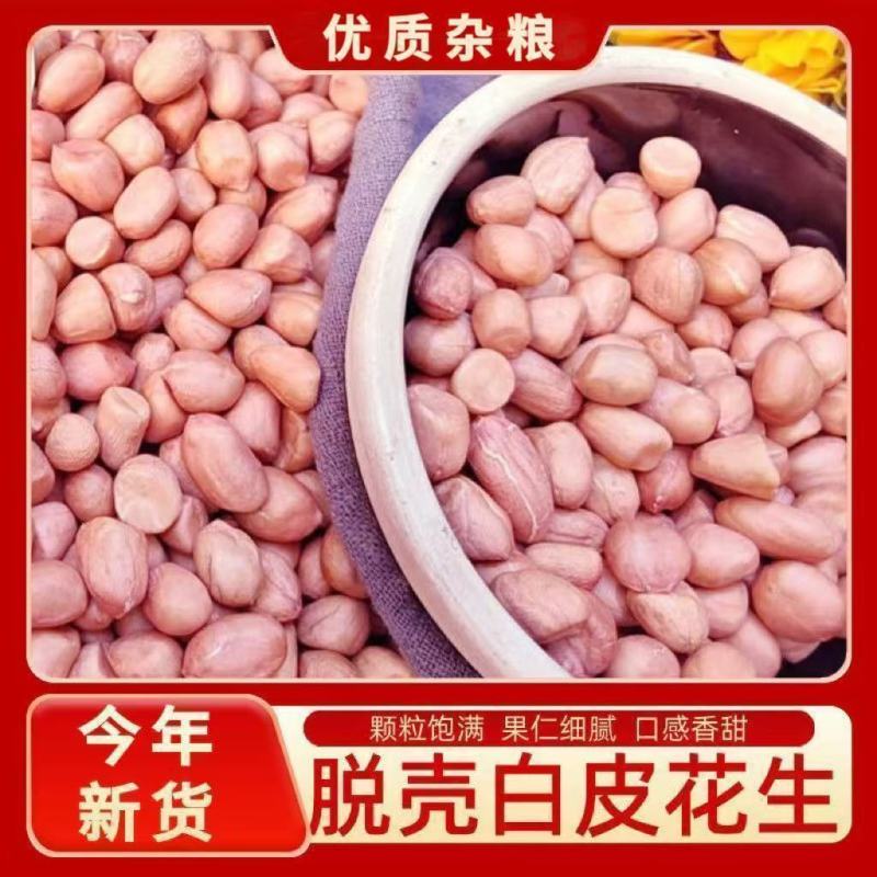 《精选》许昌花生米2025新货基地直发对接全国一条龙