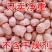 《精选》许昌花生米2025新货基地直发对接全国一条龙