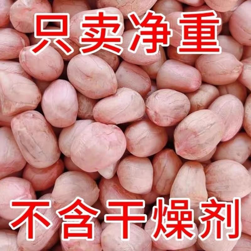 《精选》许昌花生米2025新货基地直发对接全国一条龙