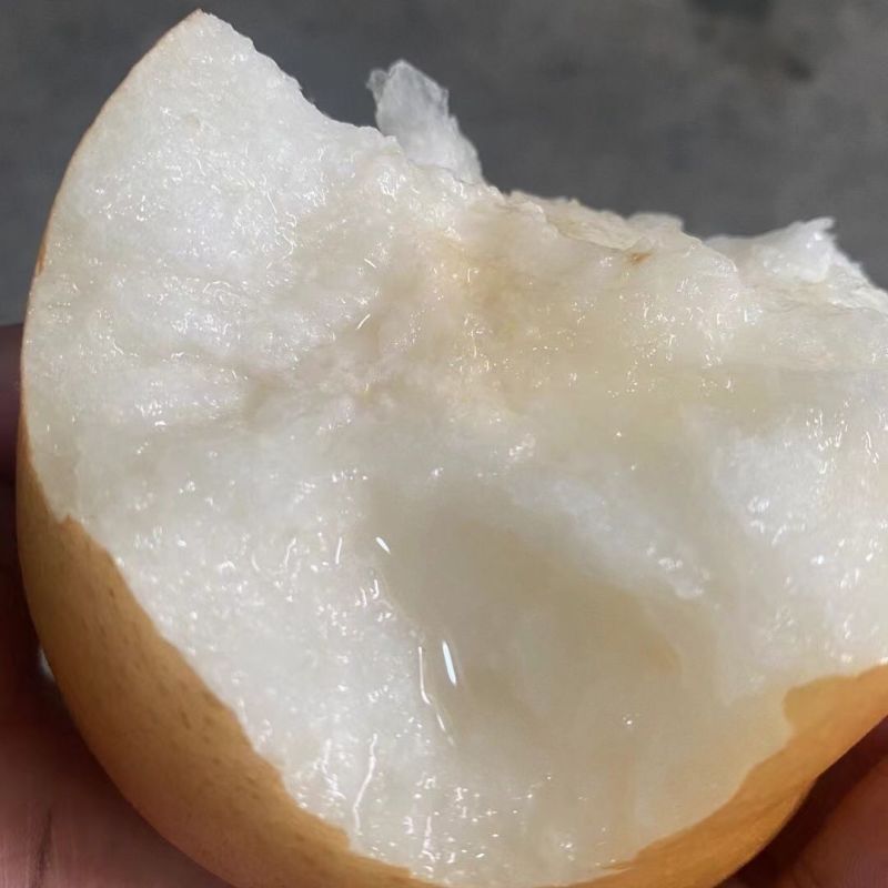 精品秋月梨，一手货源全国供应，可对接电商商超等，诚信经营