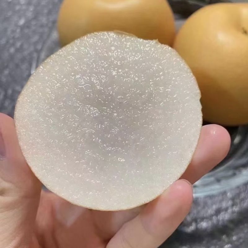 精品秋月梨，一手货源全国供应，可对接电商商超等，诚信经营