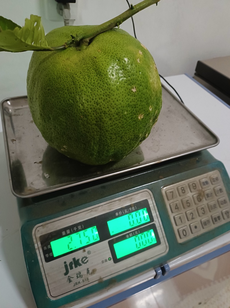 云南省临沧市云县幸福镇打马卡现货现发