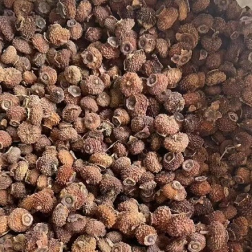 贵州野生刺梨干果崭新上市，简称果中**满满的维生素C