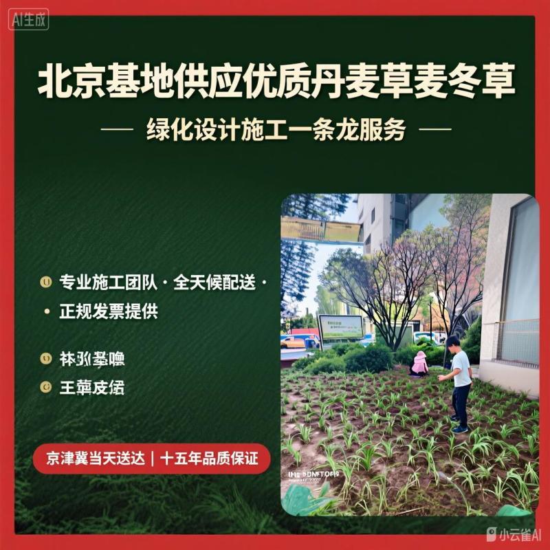 北京丹麦草基地销售丹麦草麦冬草崂屿苔草